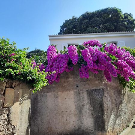 Apartman Pia Mali Lošinj Exteriér fotografie